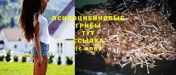 mdma Богородицк