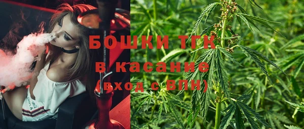 mdma Богородицк